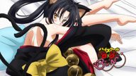 High School DxD (Kuroka Eyecatch 1)